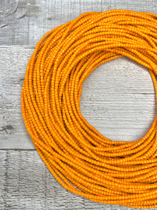 Resilient Soul Waist Beads